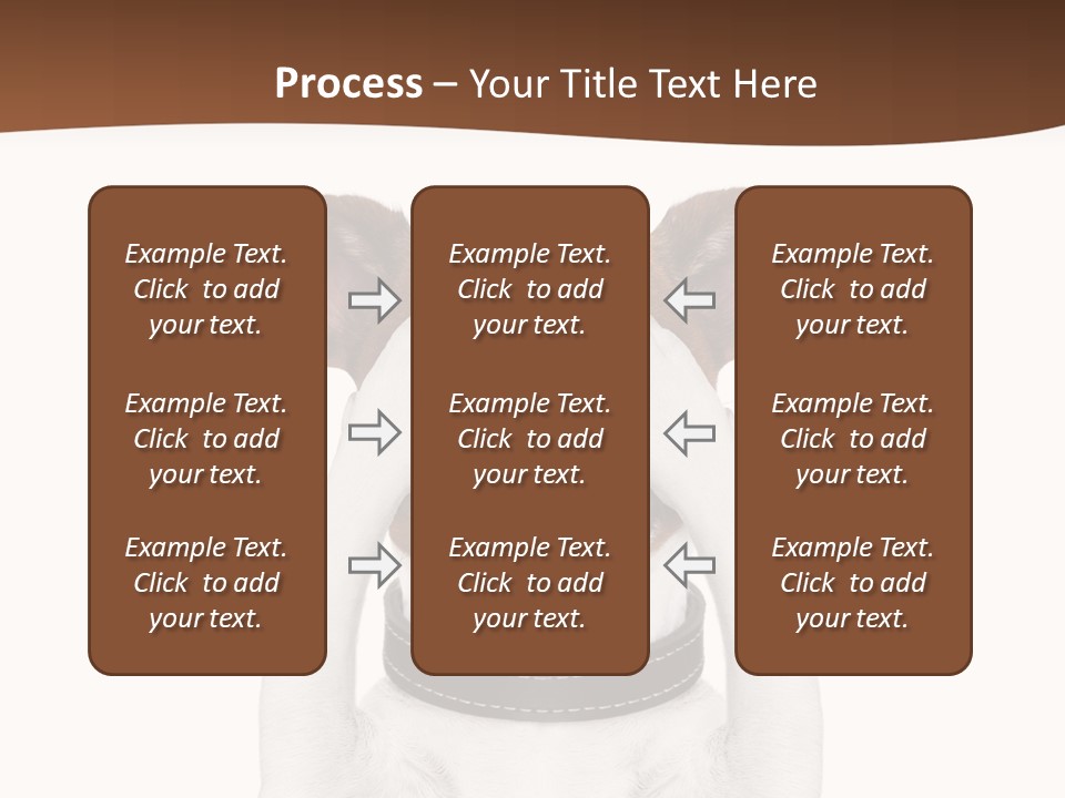 Pet Face Close PowerPoint Template