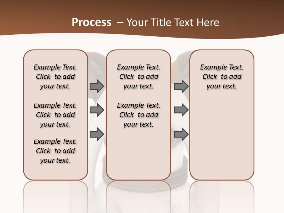 Pet Face Close PowerPoint Template