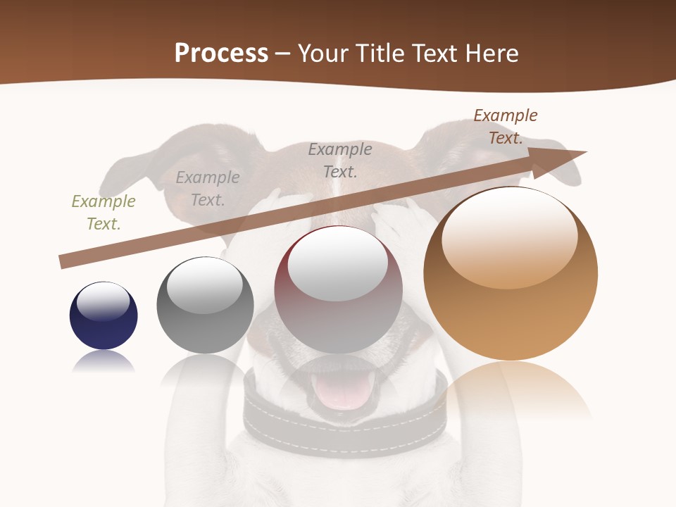 Pet Face Close PowerPoint Template