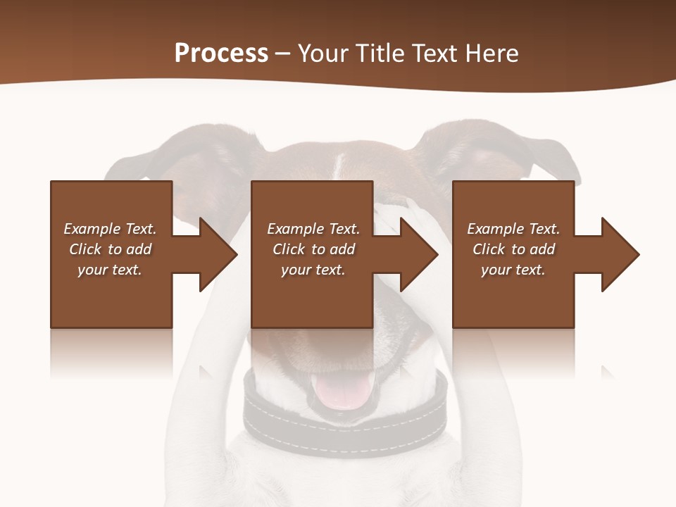 Pet Face Close PowerPoint Template