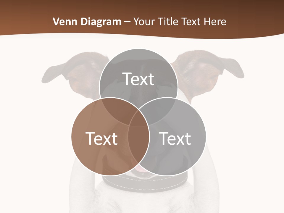 Pet Face Close PowerPoint Template