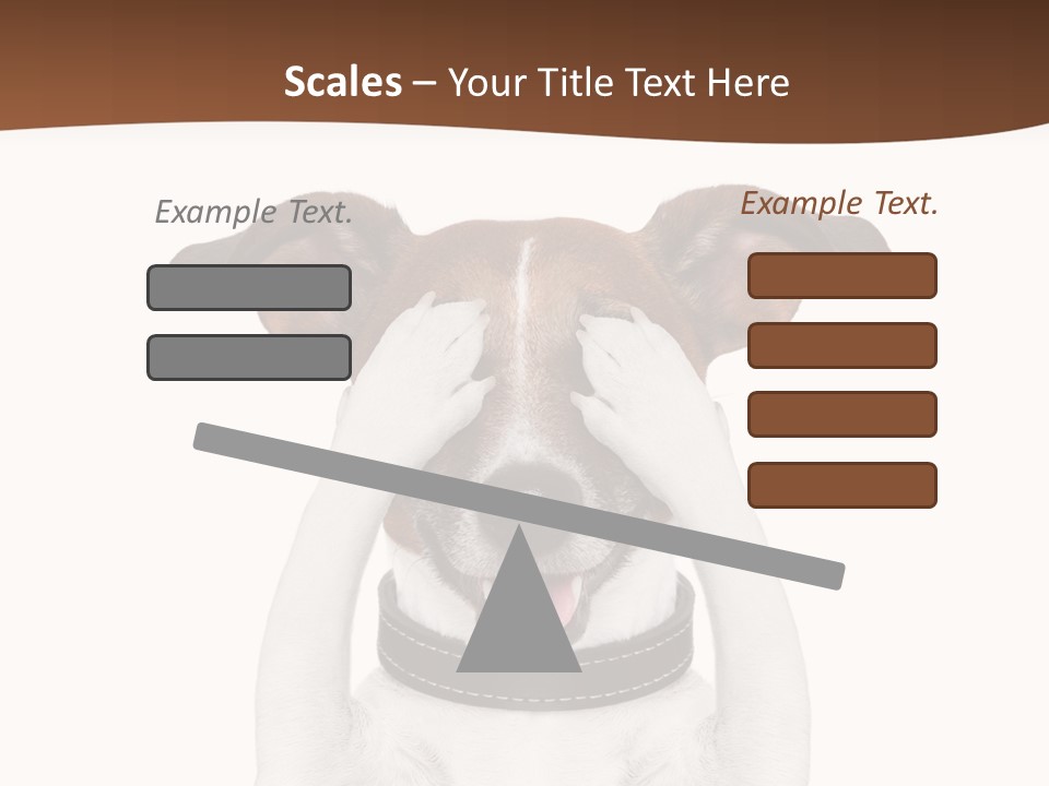 Pet Face Close PowerPoint Template