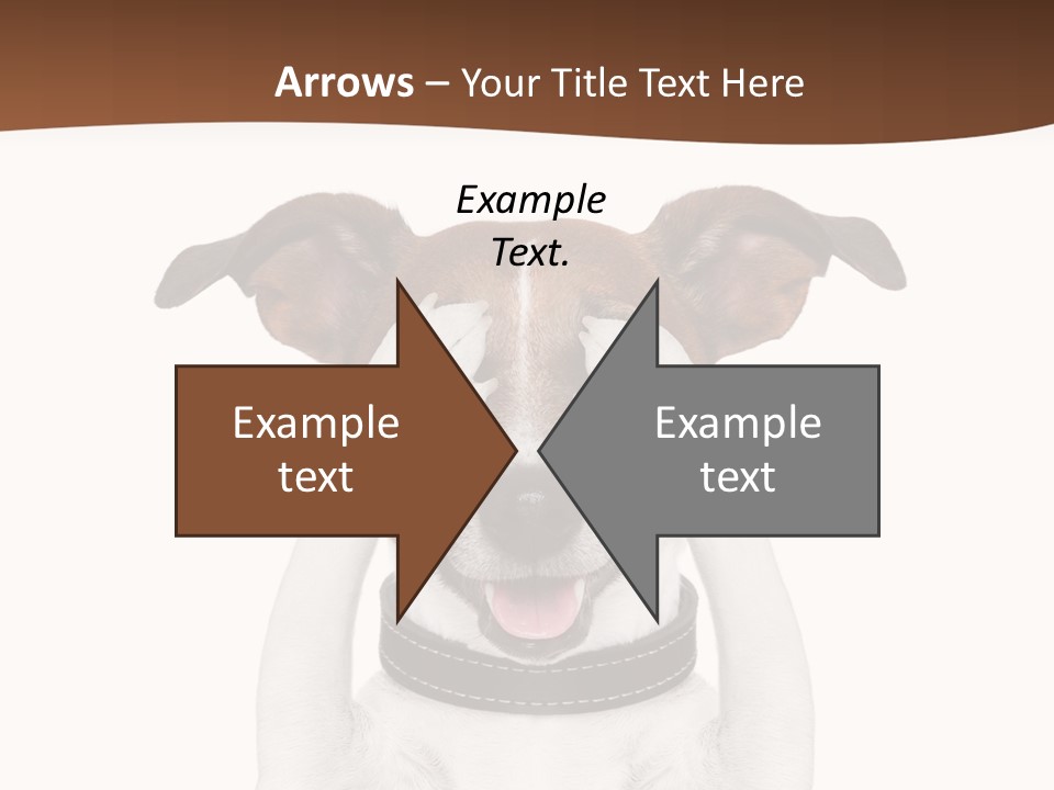 Pet Face Close PowerPoint Template