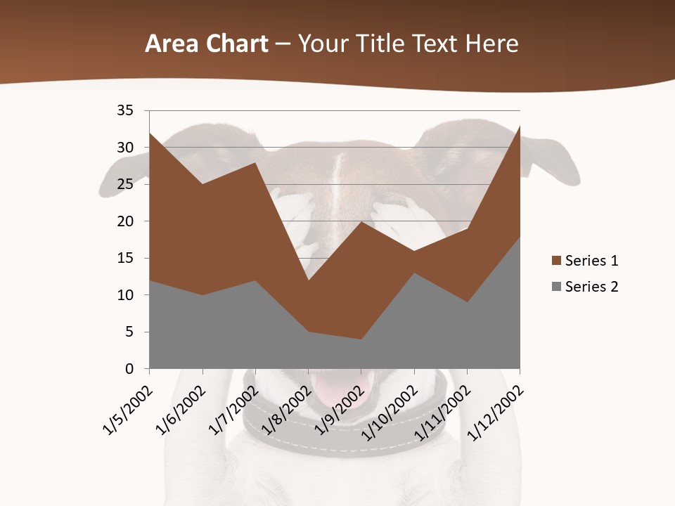 Pet Face Close PowerPoint Template