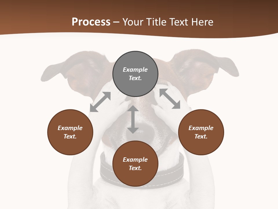 Pet Face Close PowerPoint Template
