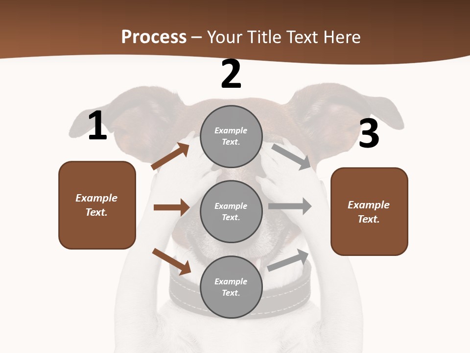 Pet Face Close PowerPoint Template