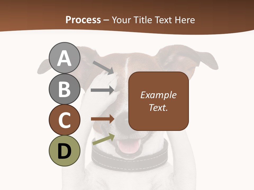 Pet Face Close PowerPoint Template