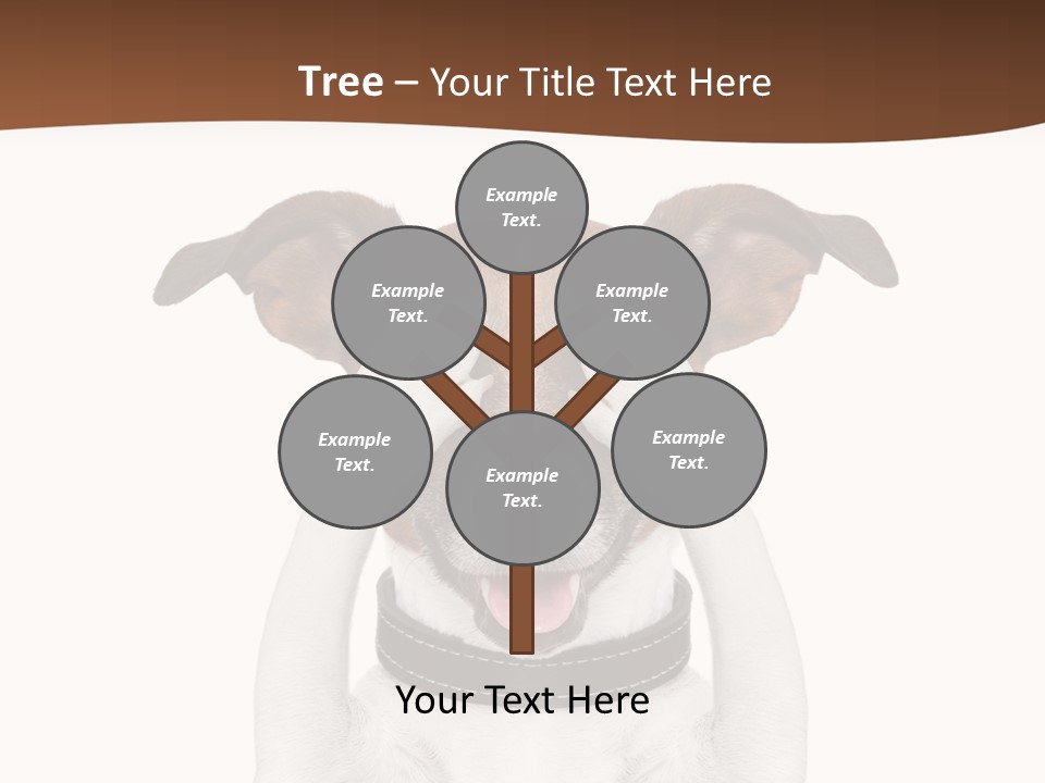 Pet Face Close PowerPoint Template