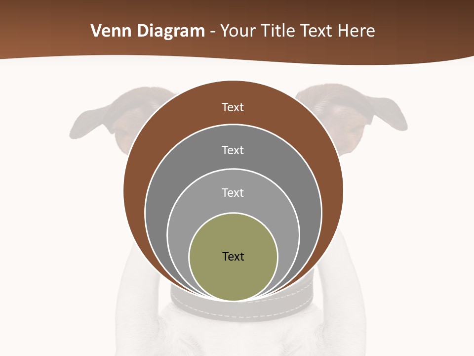 Pet Face Close PowerPoint Template