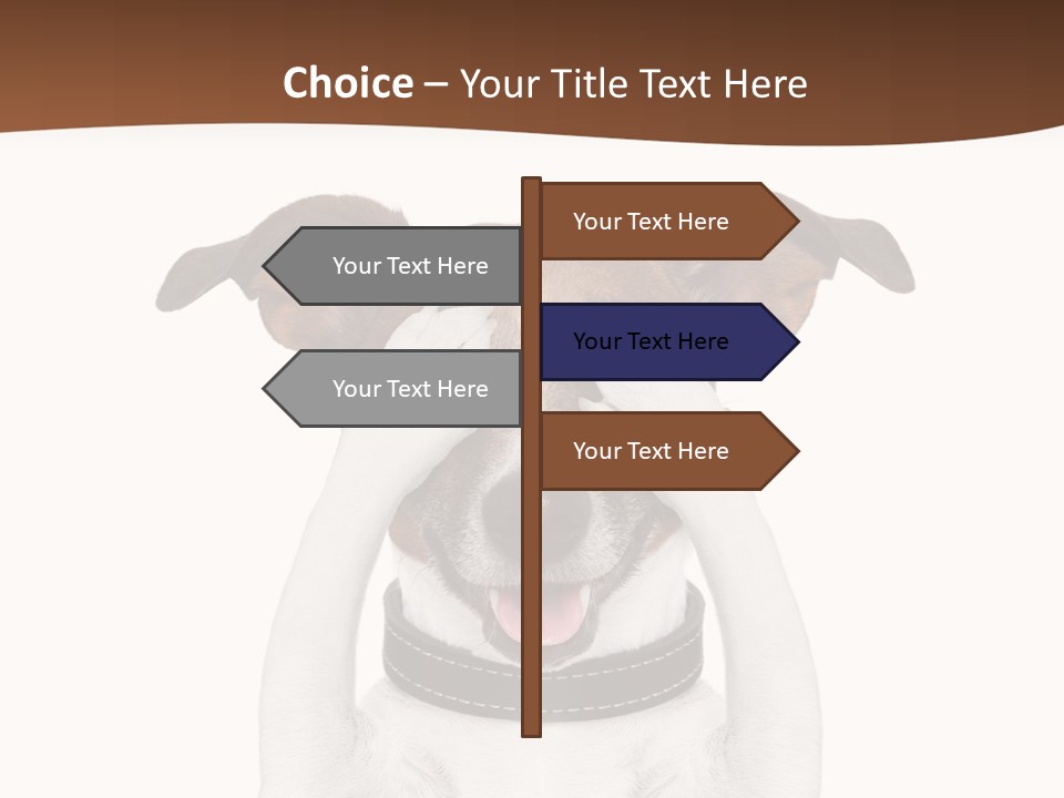 Pet Face Close PowerPoint Template