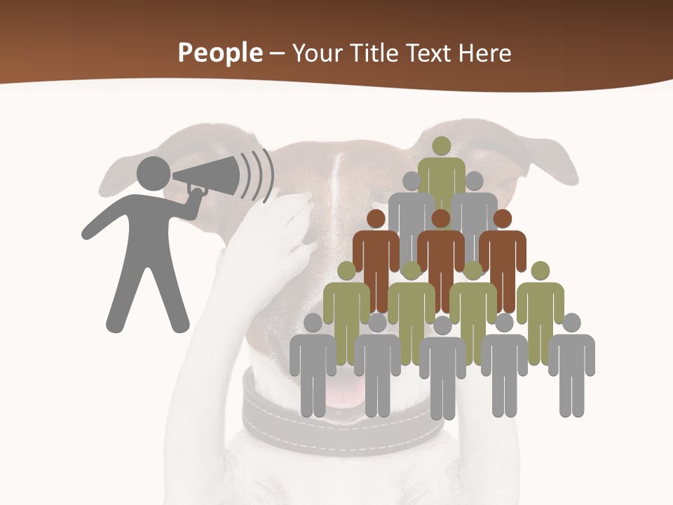 Pet Face Close PowerPoint Template