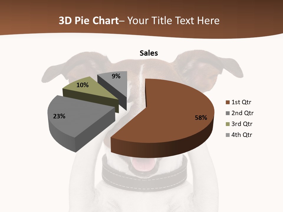 Pet Face Close PowerPoint Template