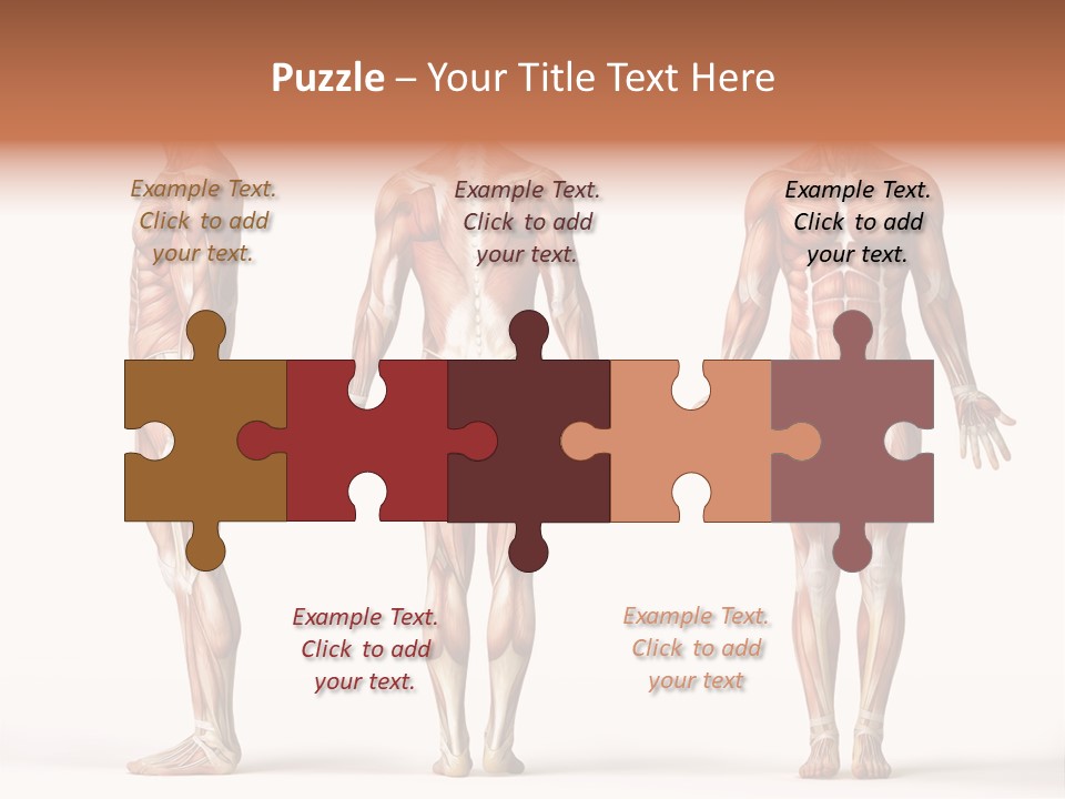 System Anatomical Human PowerPoint Template