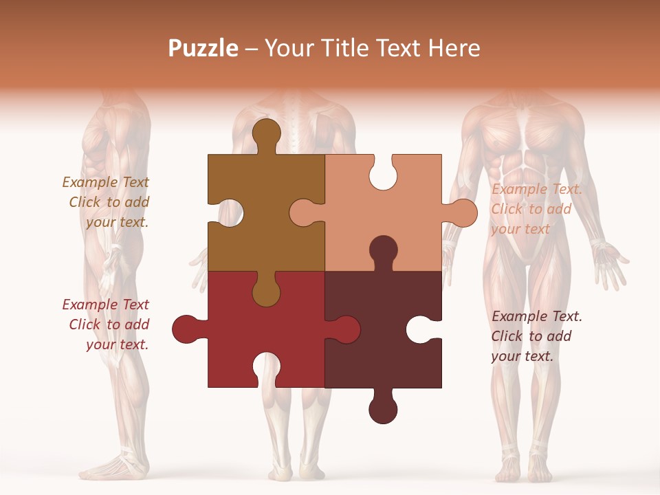 System Anatomical Human PowerPoint Template