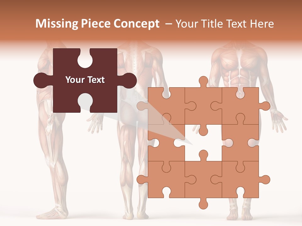 System Anatomical Human PowerPoint Template