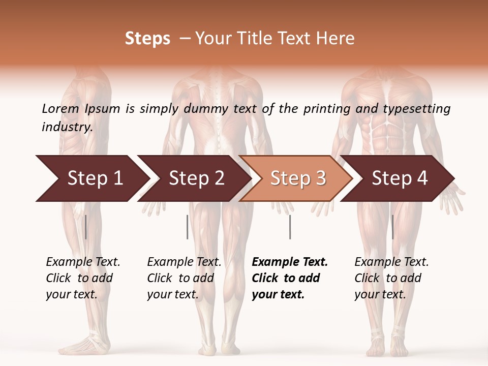 System Anatomical Human PowerPoint Template
