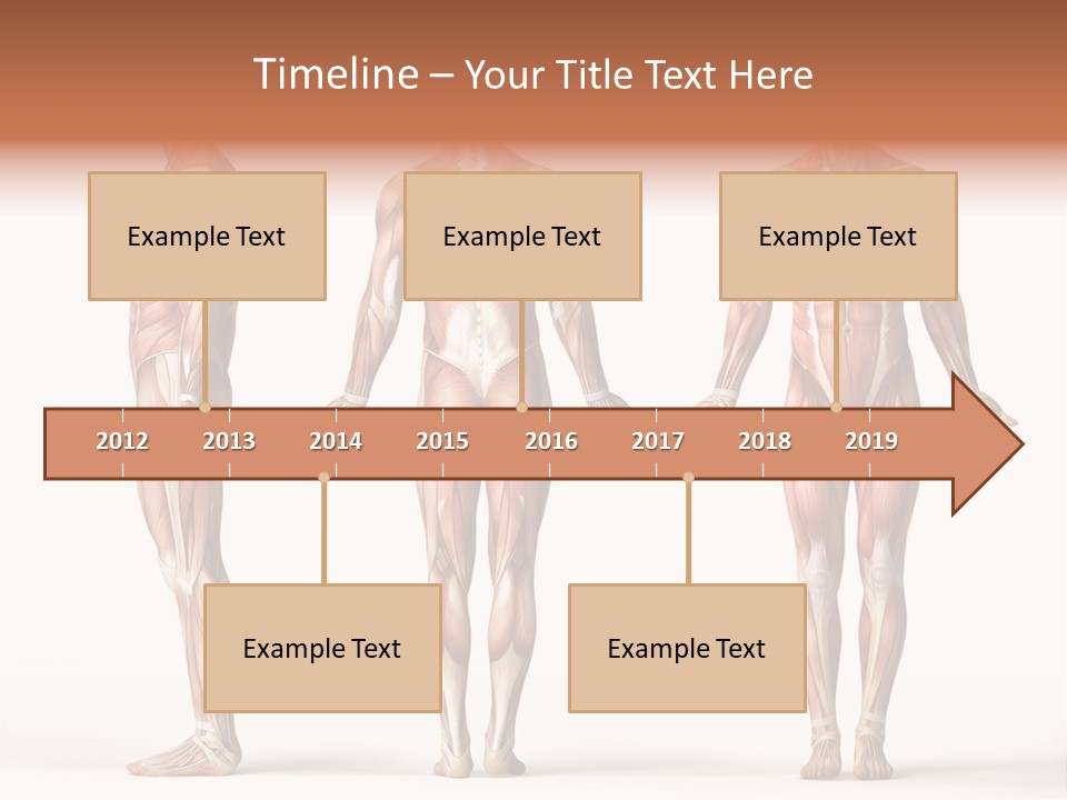System Anatomical Human PowerPoint Template