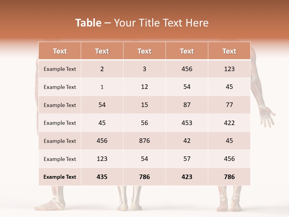 System Anatomical Human PowerPoint Template