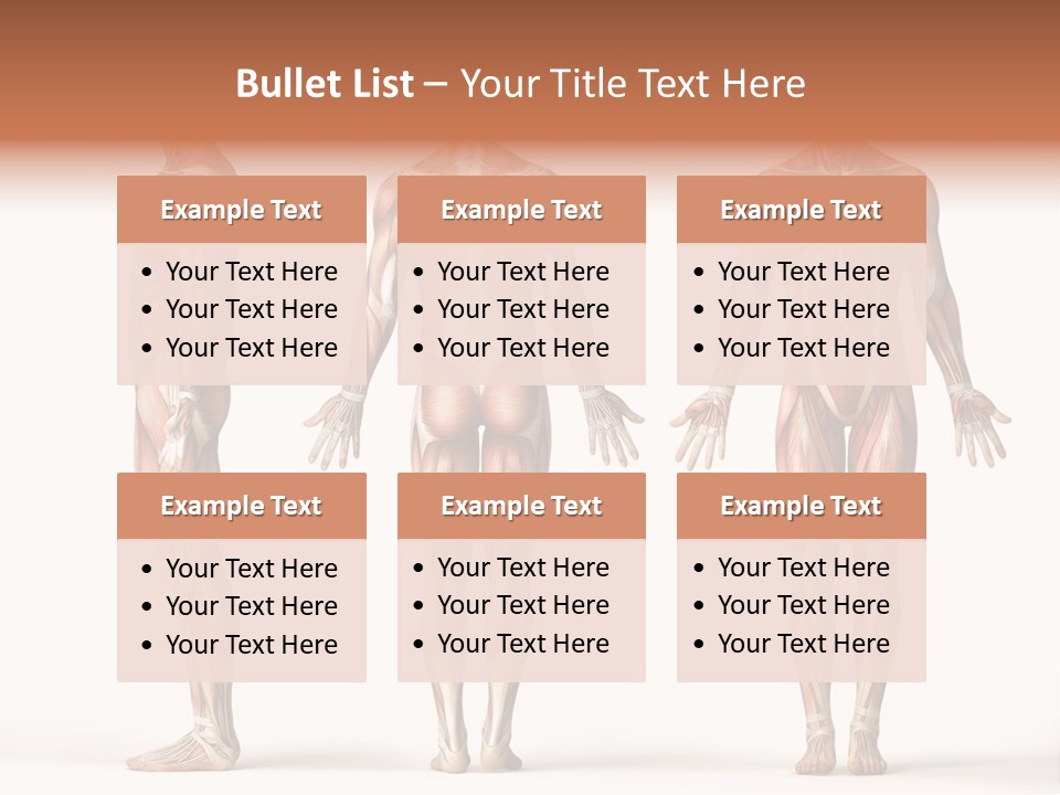 System Anatomical Human PowerPoint Template