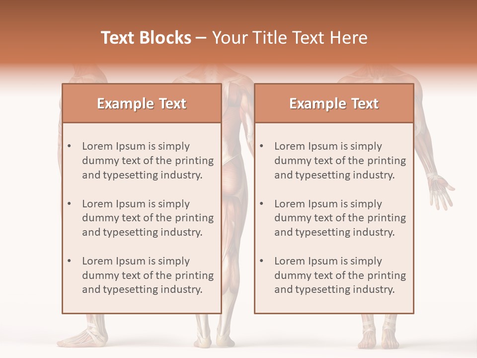 System Anatomical Human PowerPoint Template