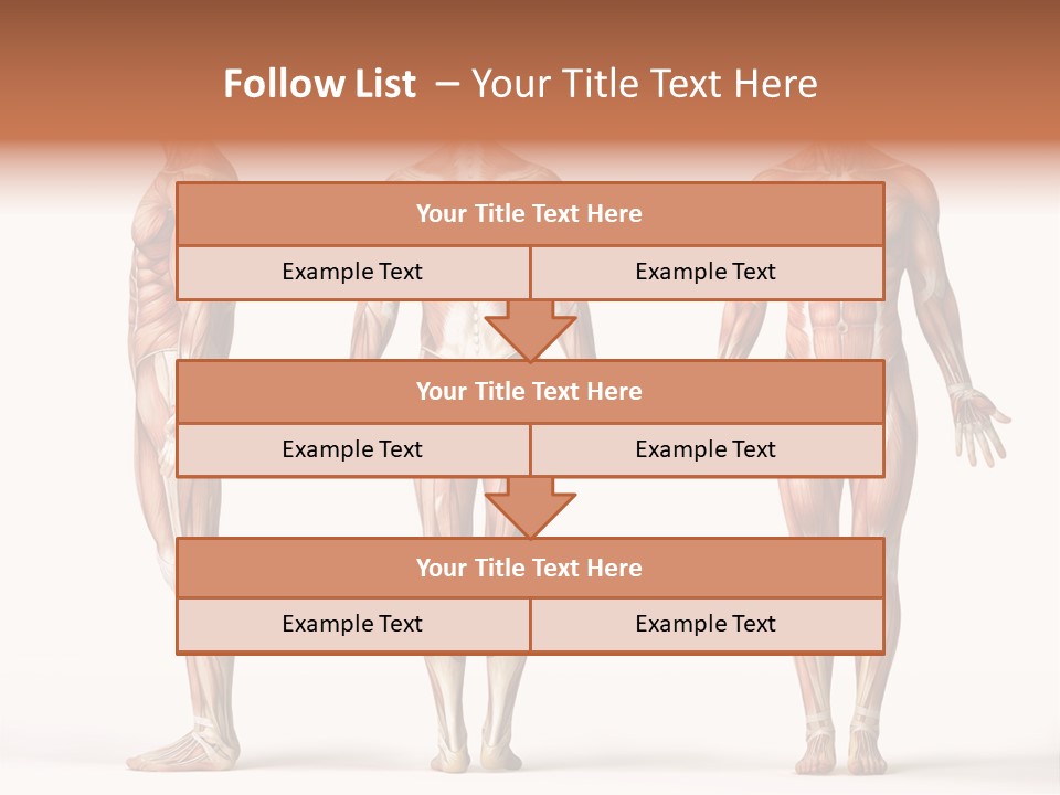 System Anatomical Human PowerPoint Template