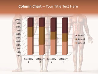 System Anatomical Human PowerPoint Template