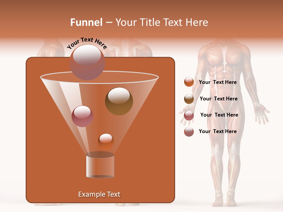 System Anatomical Human PowerPoint Template