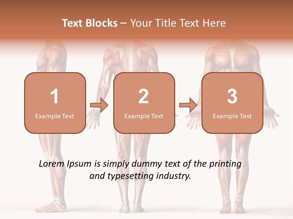 System Anatomical Human PowerPoint Template