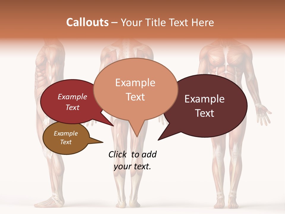 System Anatomical Human PowerPoint Template