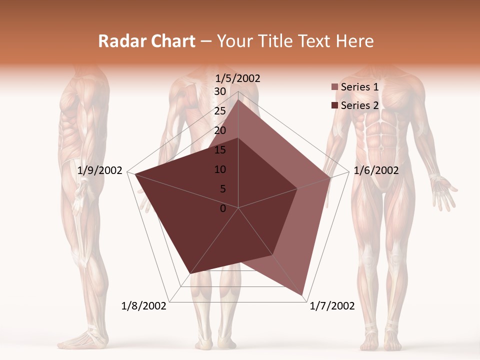 System Anatomical Human PowerPoint Template