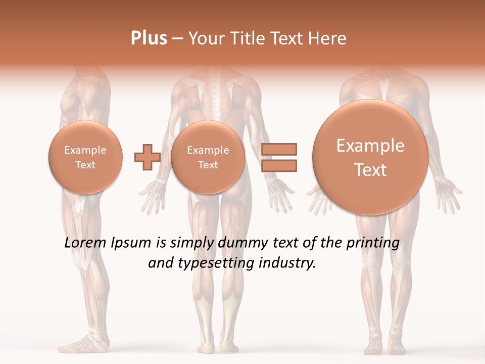 System Anatomical Human PowerPoint Template