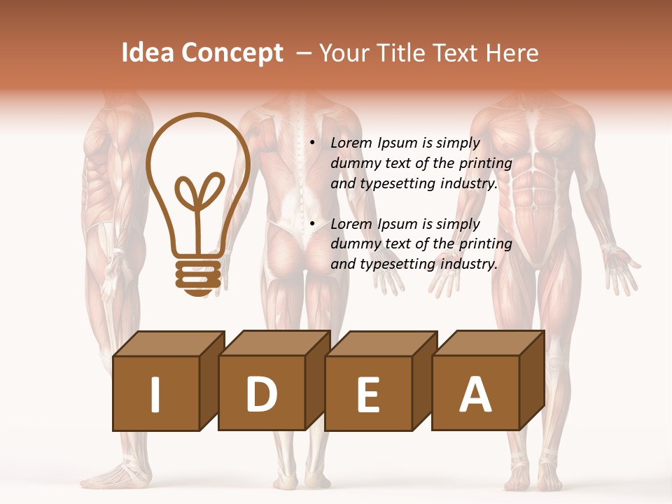 System Anatomical Human PowerPoint Template