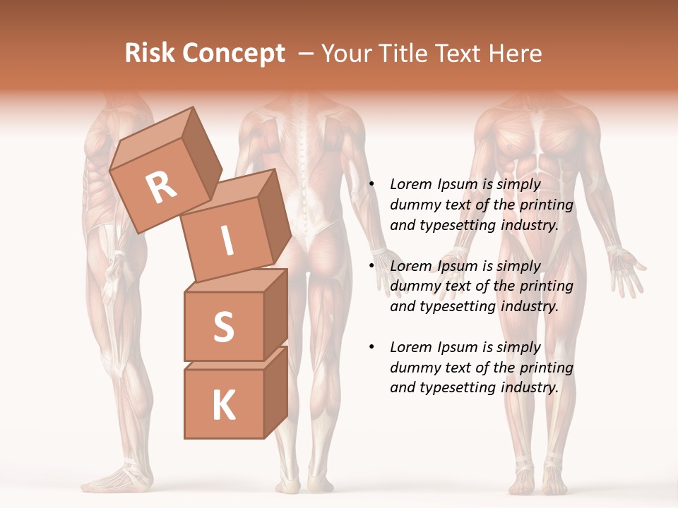 System Anatomical Human PowerPoint Template