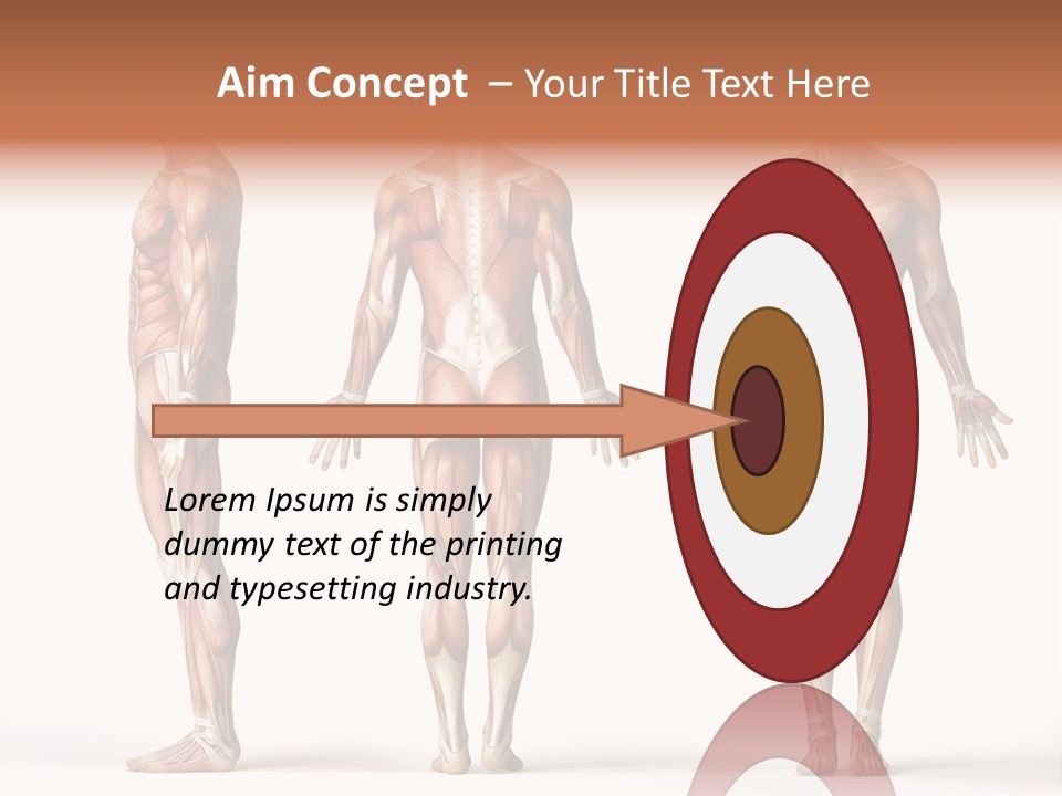 System Anatomical Human PowerPoint Template