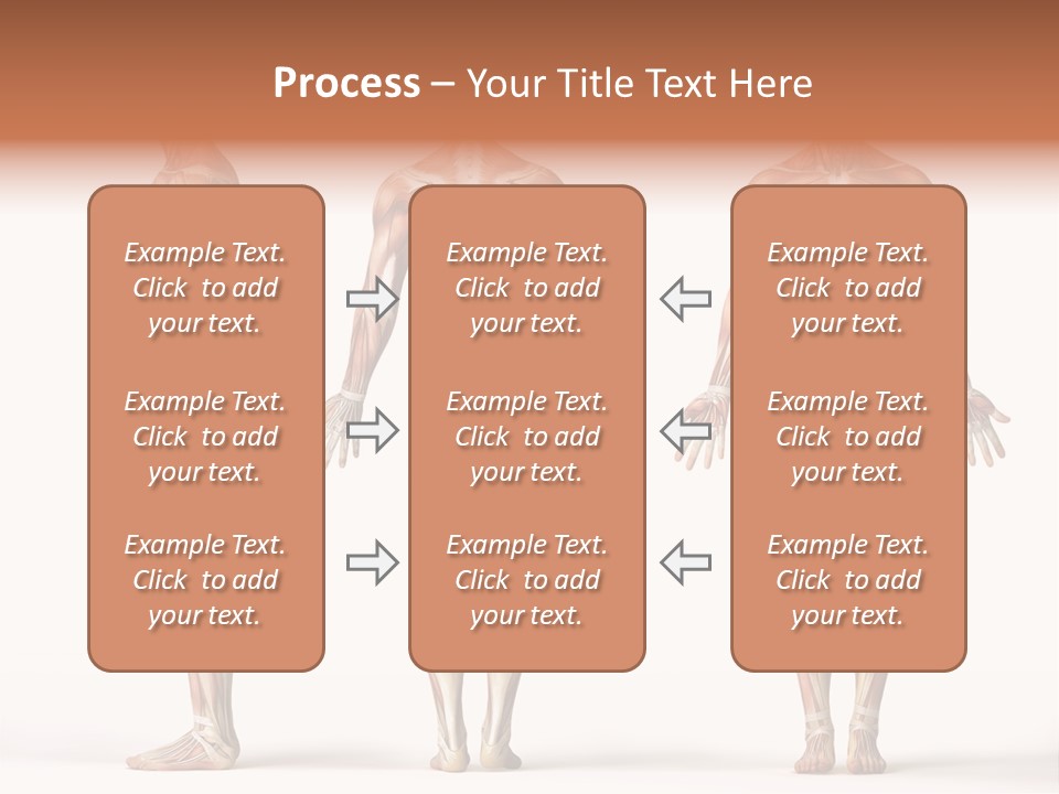 System Anatomical Human PowerPoint Template