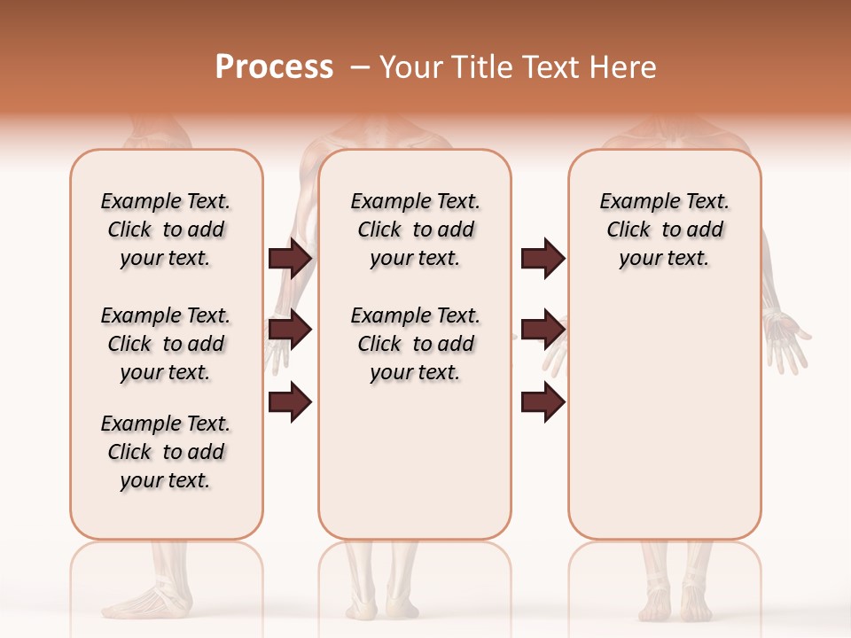 System Anatomical Human PowerPoint Template