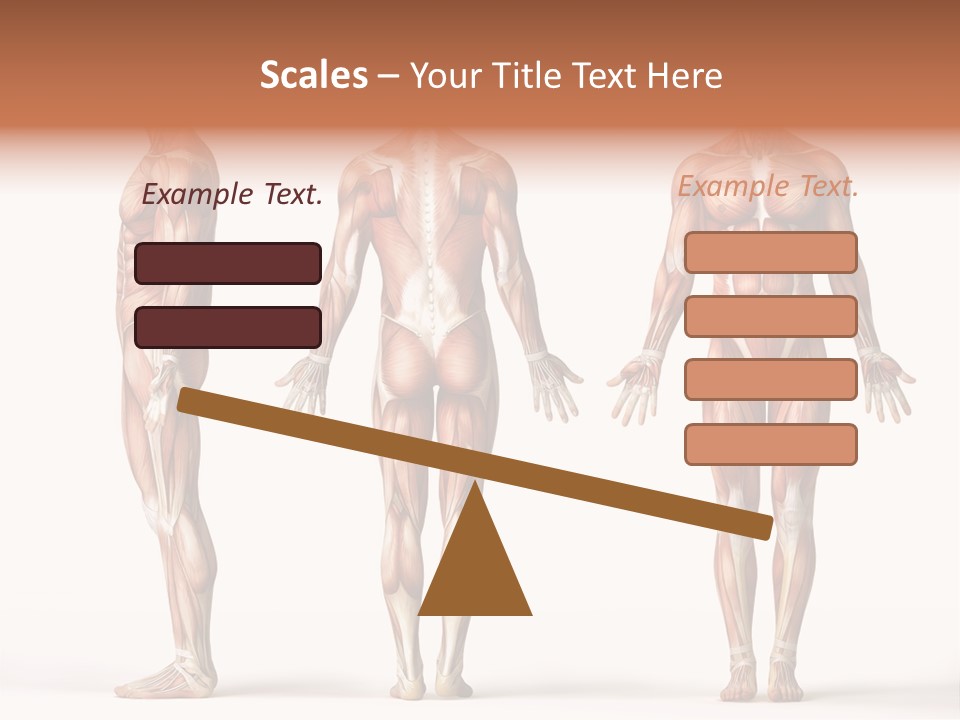 System Anatomical Human PowerPoint Template