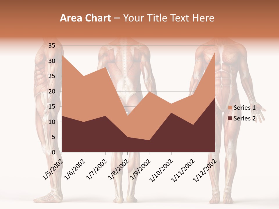 System Anatomical Human PowerPoint Template