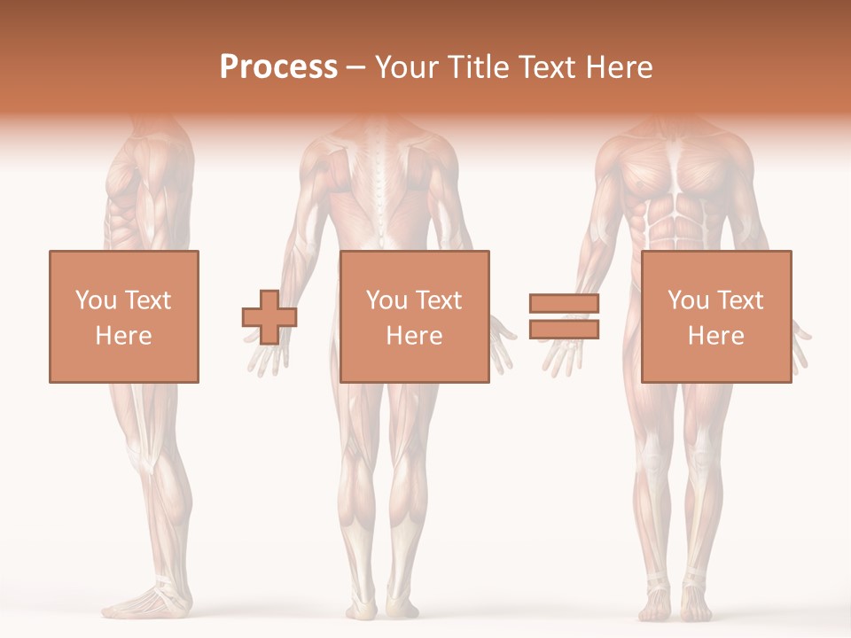 System Anatomical Human PowerPoint Template