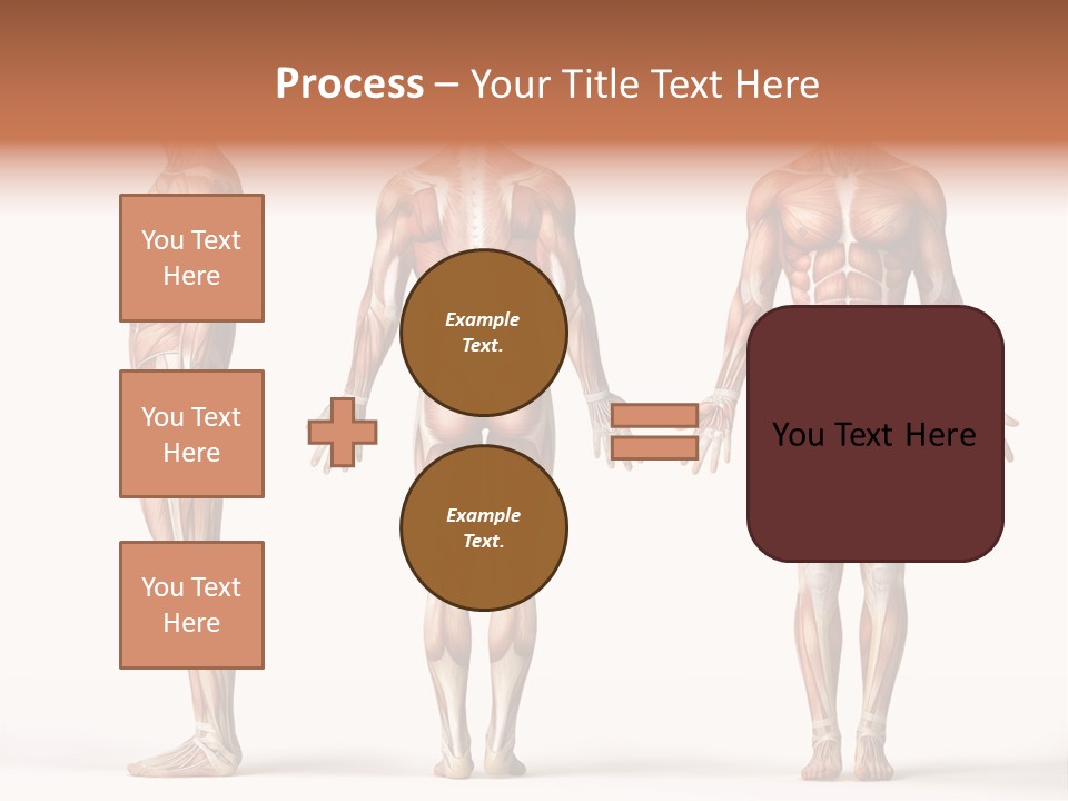 System Anatomical Human PowerPoint Template