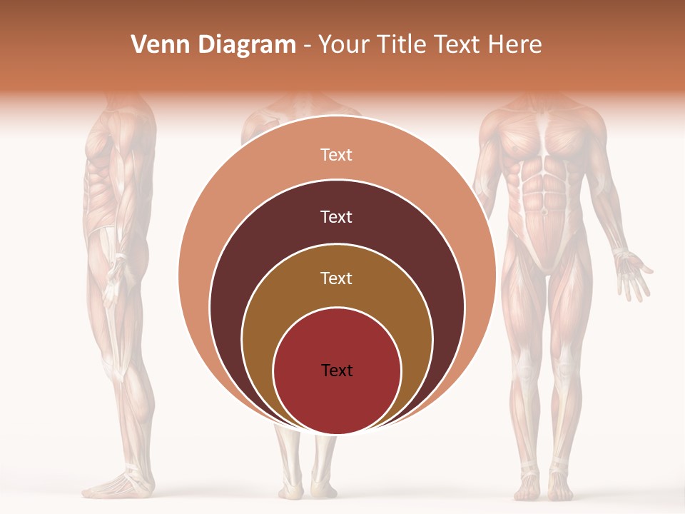 System Anatomical Human PowerPoint Template