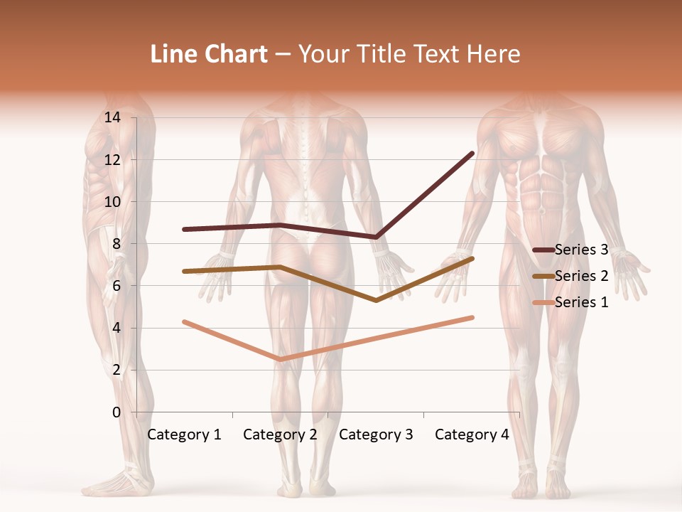 System Anatomical Human PowerPoint Template