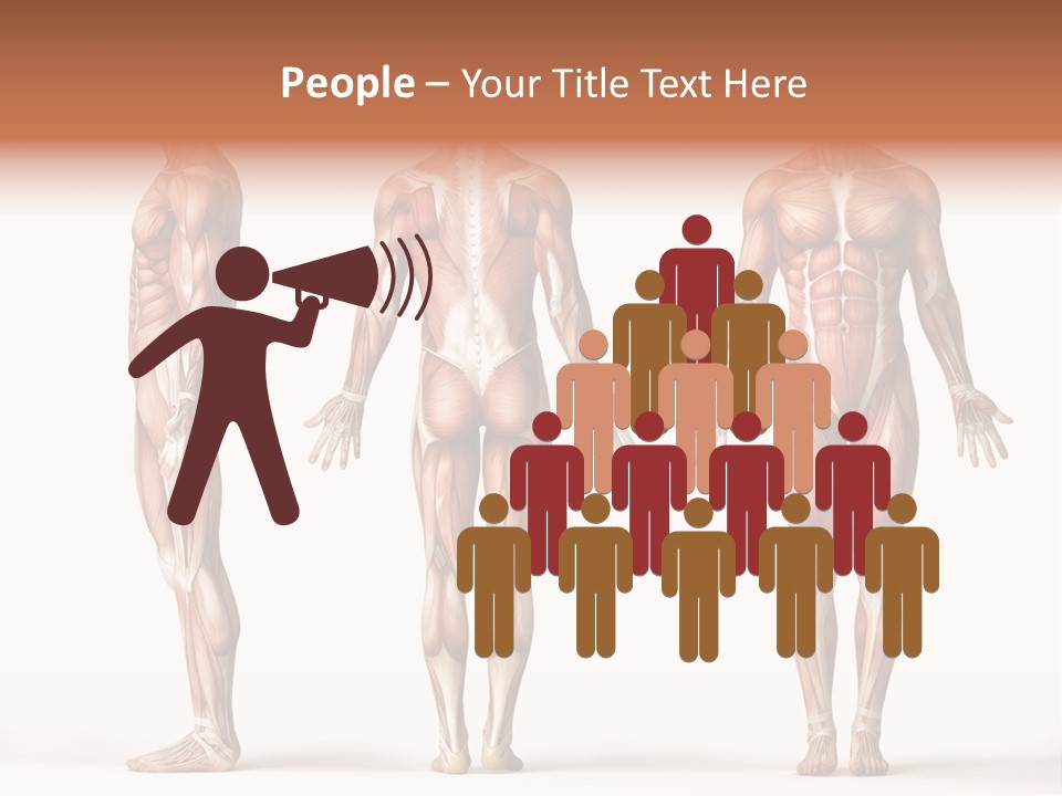 System Anatomical Human PowerPoint Template