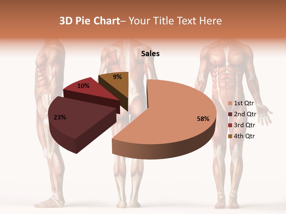 System Anatomical Human PowerPoint Template