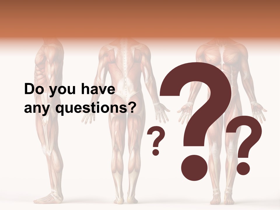 System Anatomical Human PowerPoint Template