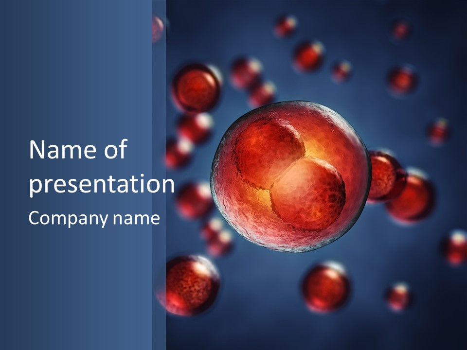 Research Biology Mitosis PowerPoint Template