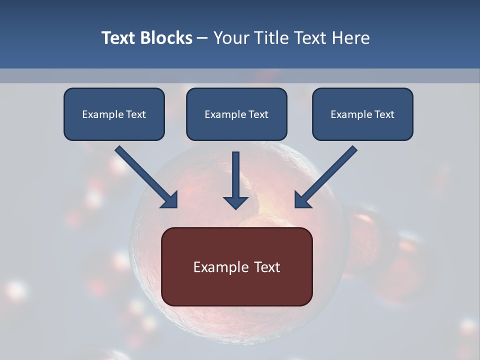 Research Biology Mitosis PowerPoint Template