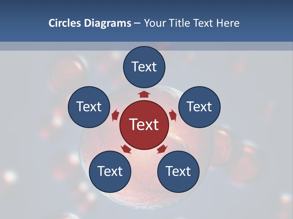 Research Biology Mitosis PowerPoint Template
