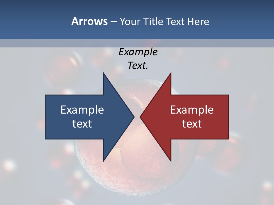 Research Biology Mitosis PowerPoint Template