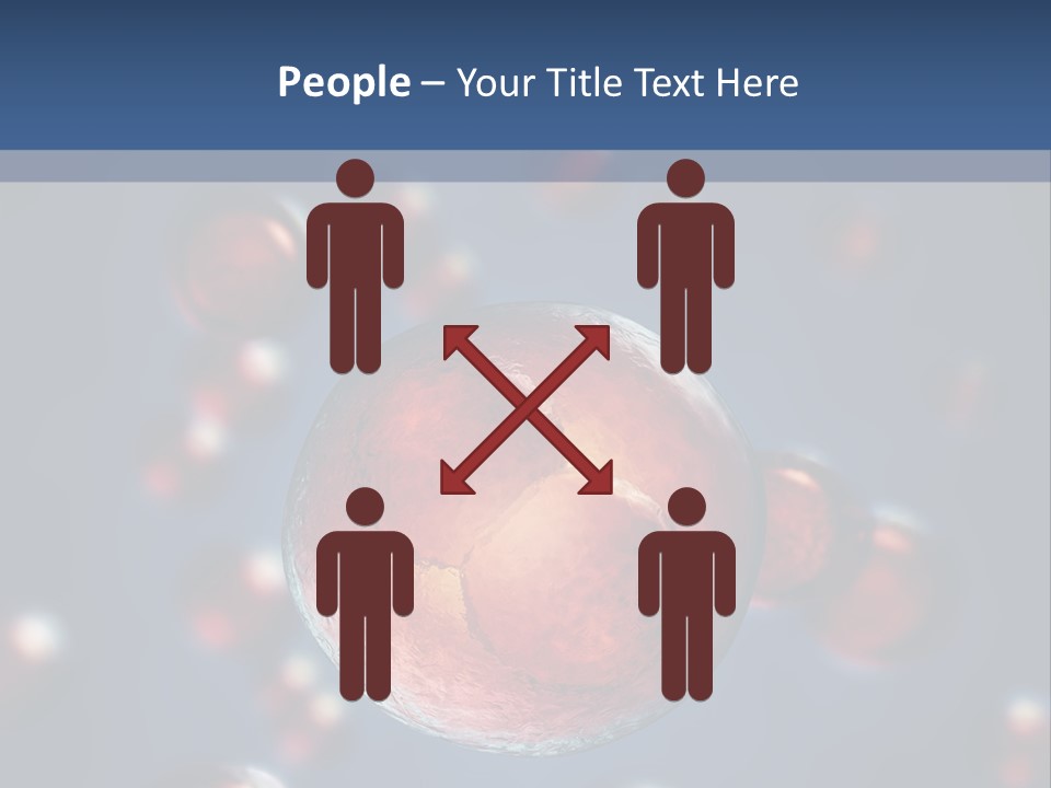 Research Biology Mitosis PowerPoint Template